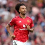 Joshua Zirkzee Transfer News